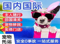 丽江航空快运国际宠物托运 【国